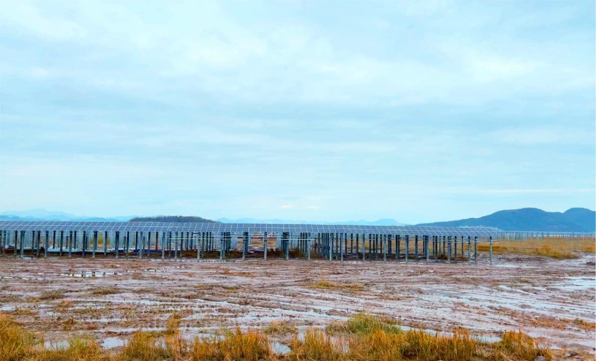 China conecta la primera fase de una planta fotvoltaica de 300MW construida en una llanura mareal de la costa