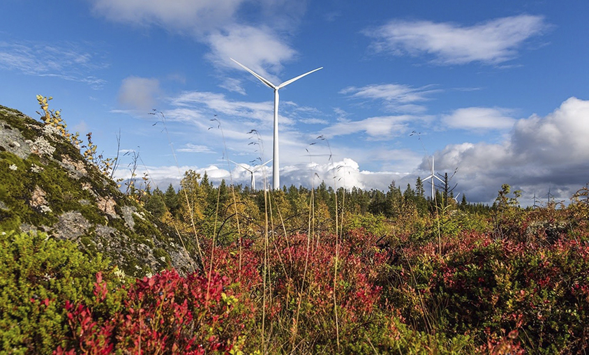 BayWa vende un parque eólico sueco de 62 MW a la italiana ERG