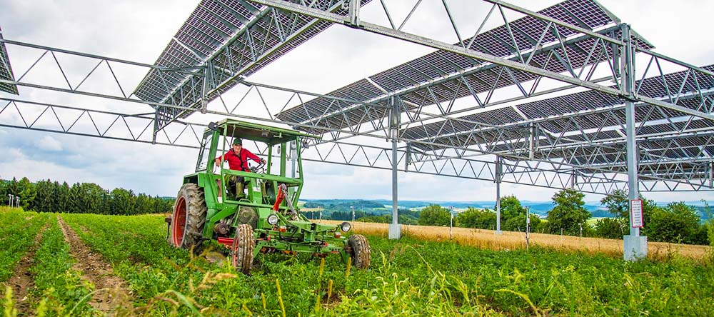 Agrivoltaica o cómo dar un uso más eficiente a la tierra agrícola