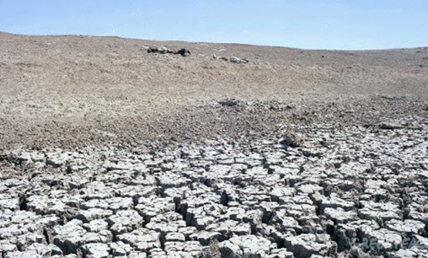 Las CCAA piden incluir la desertificación como objetivo prioritario en la UE