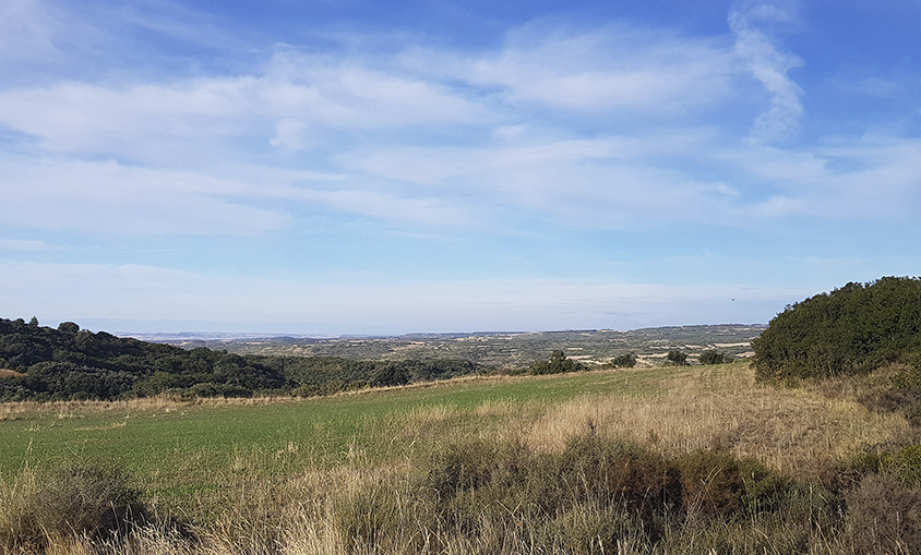 Capital Energy avanza en el desarrollo de su primer parque eólico en Aragón, Biota