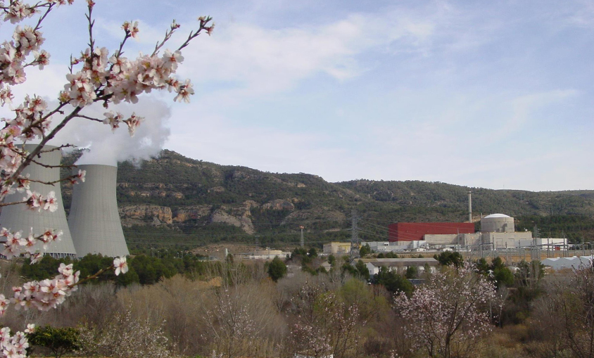 Sociedad Nuclear vaticina que la eólica será en 2050 una tecnología de transición a otras fuentes nucleares