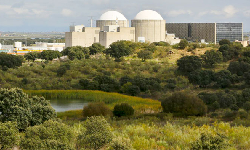 Cerca de 8.000 personas muestran su oposición al cierre de la central nuclear de Almaraz