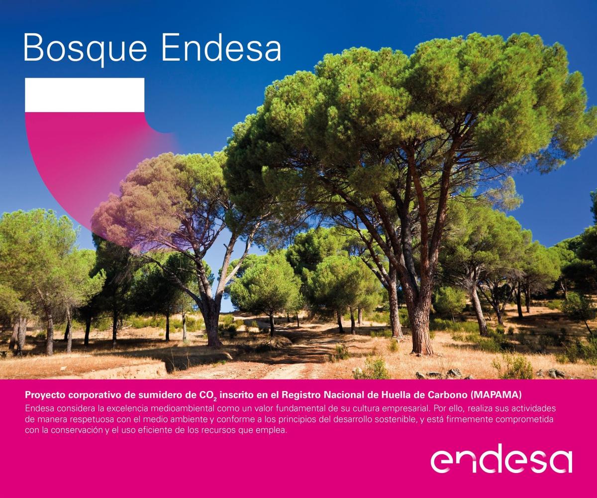 Endesa restaura 40.000 árboles en cerca de 90 hectáreas gracias a su iniciativa 'Bosque Endesa'