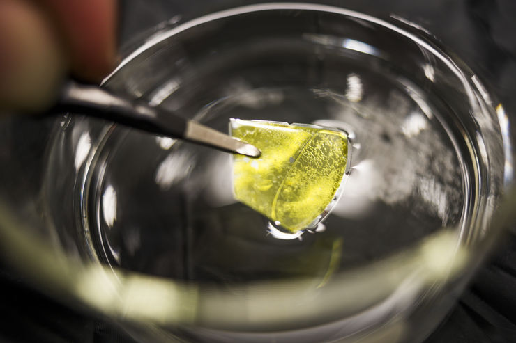 Consiguen una mayor eficiencia a la hora de producir hidrógeno verde gracias a un nuevo material nanoporoso