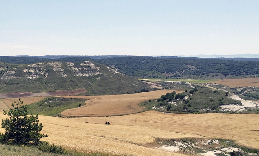 Capital Energy avanza en el desarrollo de 210 MW eólicos en Burgos, con una inversión de 178 millones