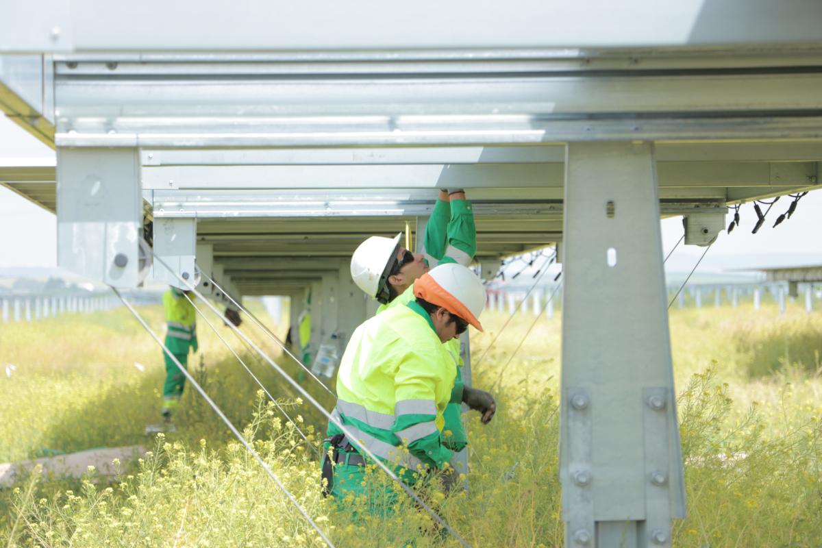 Statkraft creará 500 empleos en la construcción de cuatro plantas solares por 234 MW en Cádiz