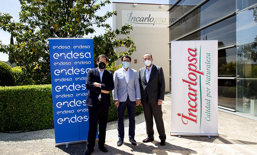 Endesa construye para Incarlopsa un proyecto de autoconsumo con 46.000 m2 en paneles solares por 5 millones