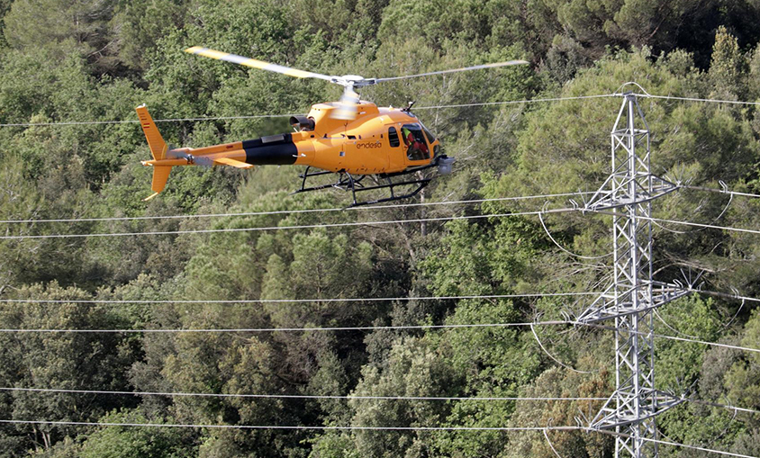 Endesa crea una aplicación para reportar incidencias bajo las líneas eléctricas y proteger los bosques