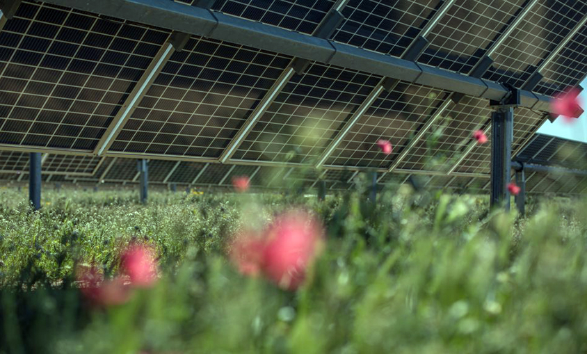 Lightsource BP compra a Grupo Jorge tres proyectos solares en Aragón por 703 MW