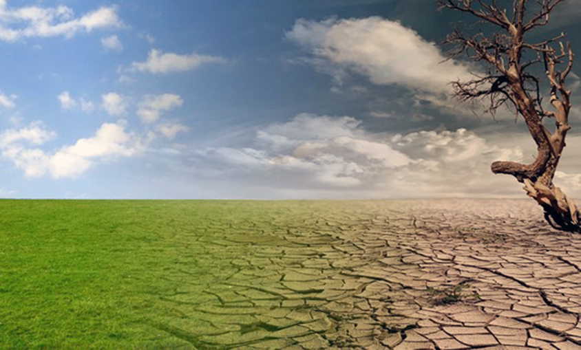 Argentina pide en el G20 canjear las deudas por acciones climáticas