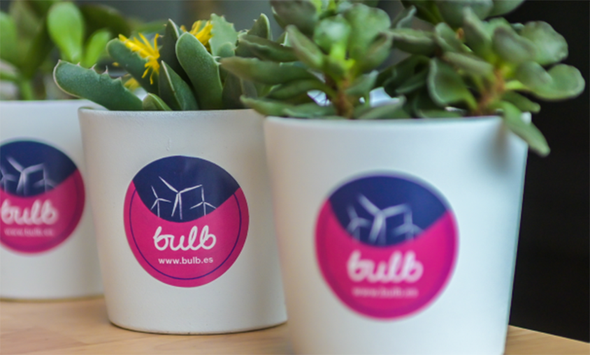 Más de 24.000 hogares se suman a la energía 100% renovable de Bulb