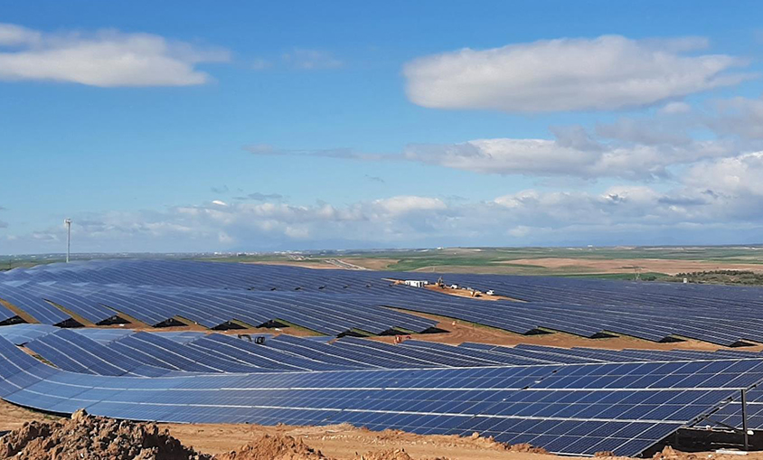 Iberdrola pone en marcha su primera planta fotovoltaica en Castilla-La Mancha de 50 megavatios (MW)