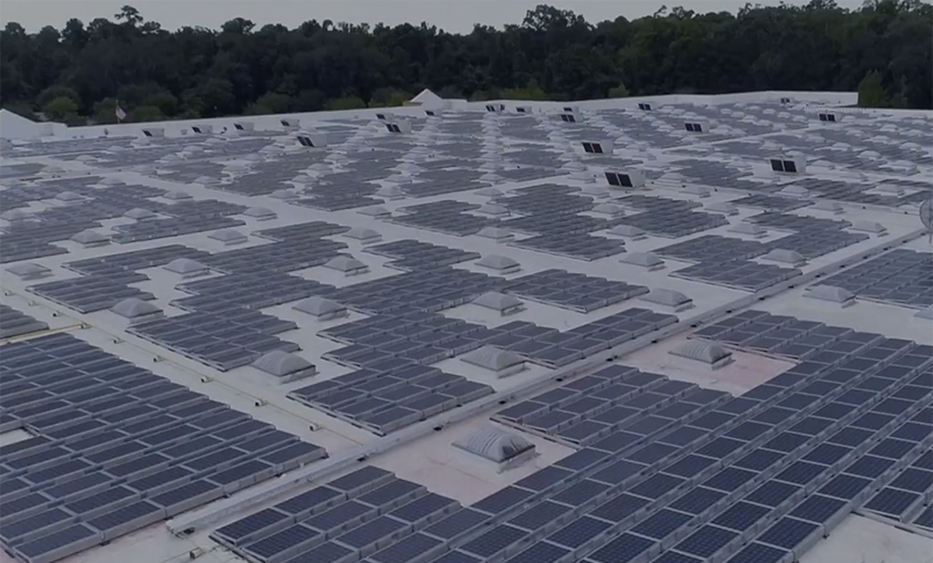 EDP Renováveis firma más de 50 proyectos de energía solar con Walmart