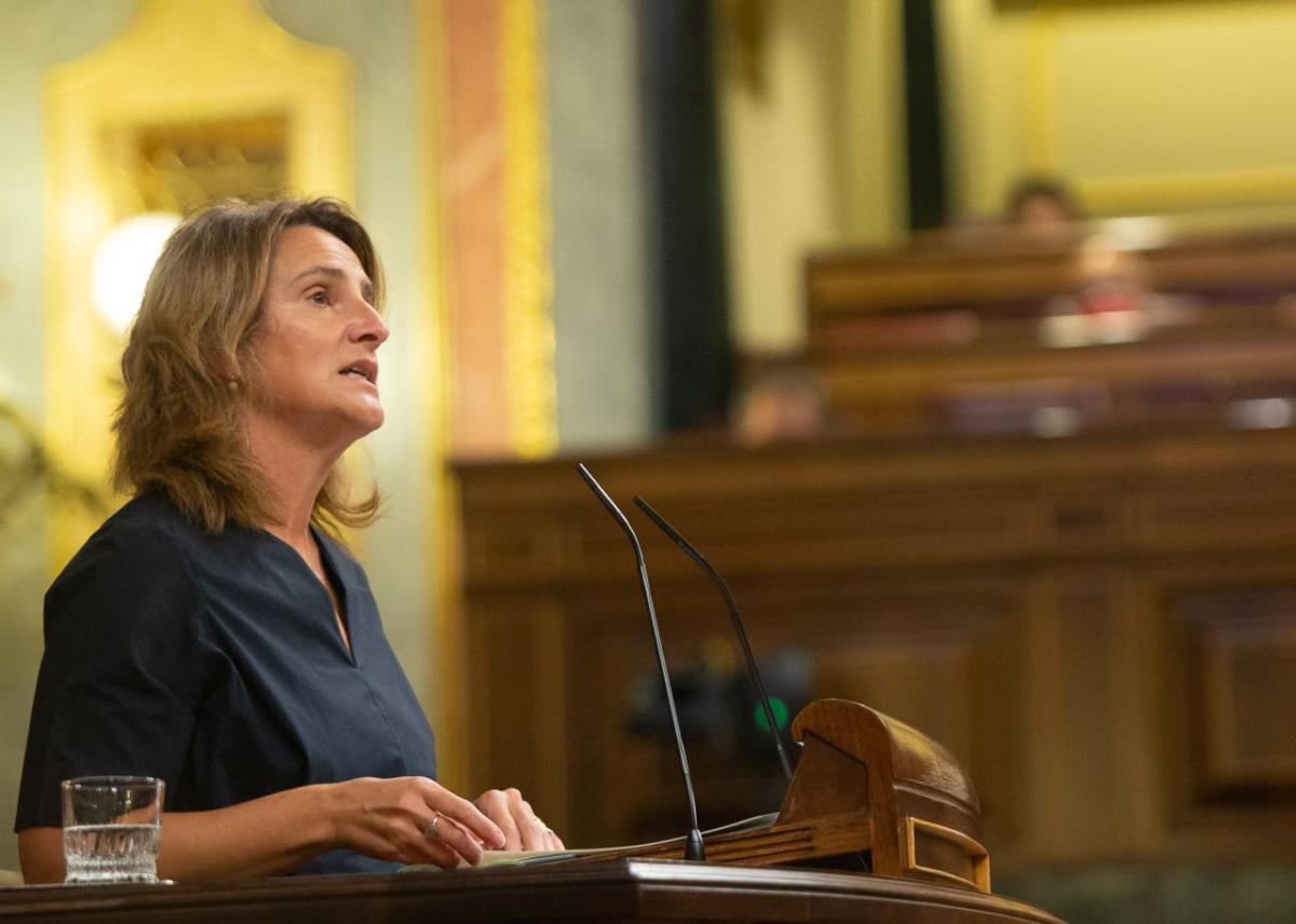 El Congreso rechaza las enmiendas a la totalidad de Vox y BNG contra la medida estrella del Gobierno para bajar la luz