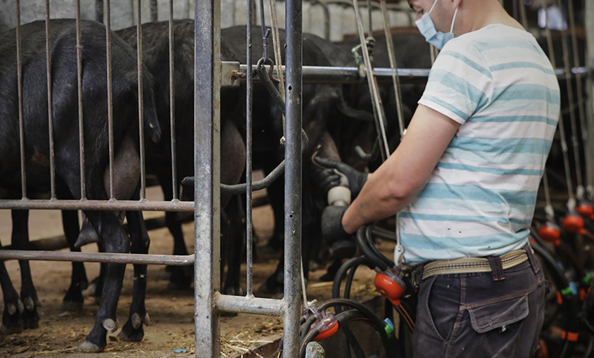 Los precios energéticos del campo suben 300 % el último trimestre