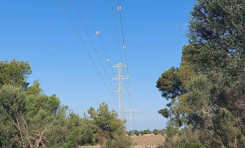 Endesa reutiliza y recicla la mayoría de residuos generados en las tareas de mantenimiento de la red
