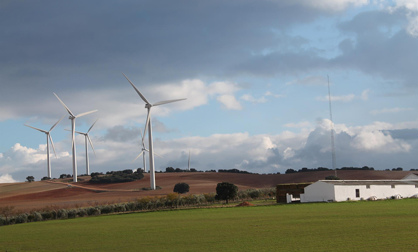 Las medidas para abaratar la luz ponen en peligro proyectos de energía eólica y solar