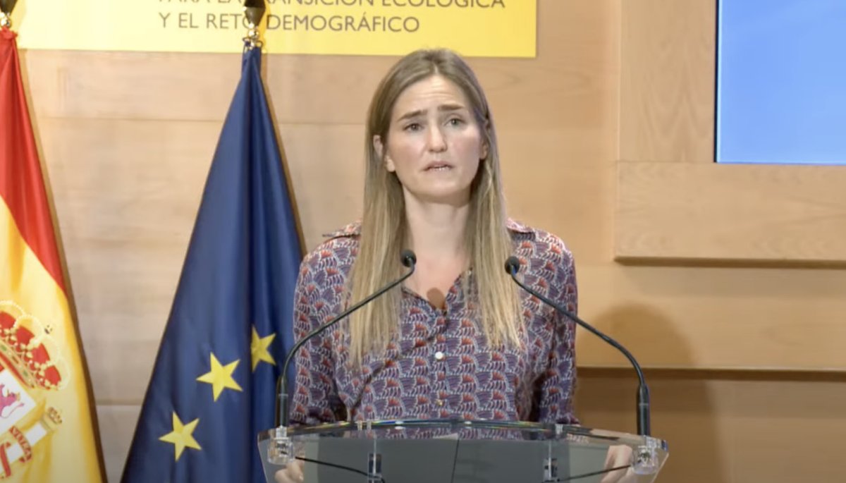 El Gobierno lanzará una tercera subasta de renovables para termosolar y biomasa antes de que acabe el año