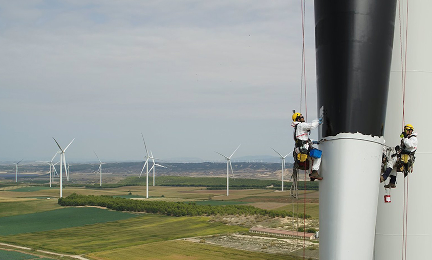 Iberdrola pinta las palas de negro y vinila ojos en las torres eólicas para disuadir a las aves