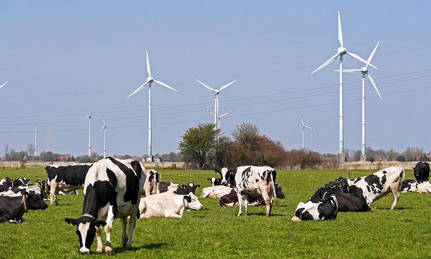 Appa estima que se deberían incorporar 5 GW al año de energías verdes para cumplir los objetivos de 2030