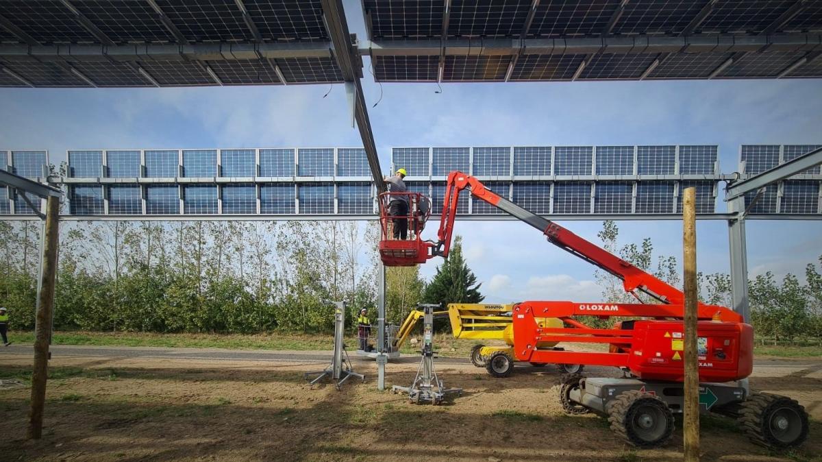 Axial lanza su nuevo seguidor solar para agrivoltaica