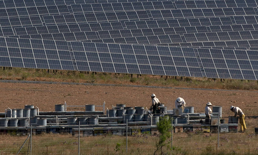 La fotovoltaica de Andévalo de Iberdrola, primera instalación construida con el Certificado UNEF de Excelencia