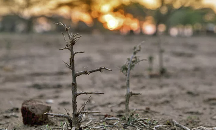 China y África apuestan por la lucha conjunta contra la crisis climática