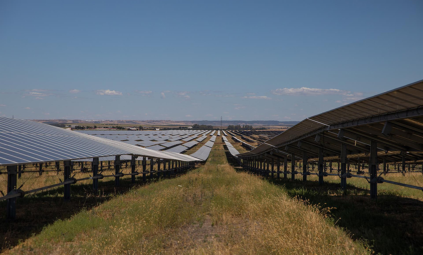 Amazon desarrollará 630 MW solares nuevos en España y elevará a 1.150 MW su capacidad instalada en el país