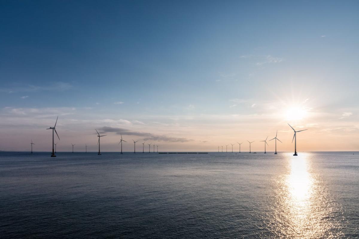 Sener y Bluefloat Energy lanzan el mayor parque de eólica marina flotante en España de 1,2 GW en la costa de Galicia