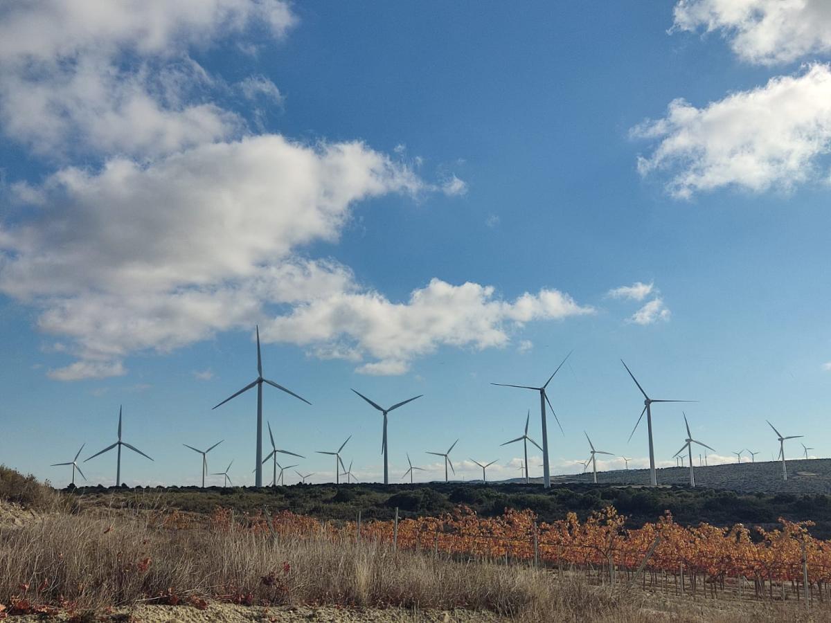 La alemana Deutsche Windtechnik obtiene contratos de mantenimiento de aerogeneradores por 400 MW en España