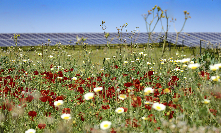 BayWa r.e. firma el mayor VPPA solar corporativo europeo para la industria del packaging con Huhtamaki