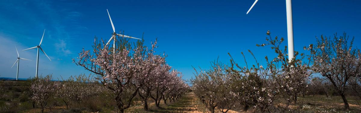 Ventient Energy culmina la compra de 443 MW híbridos de eólica y solar en España