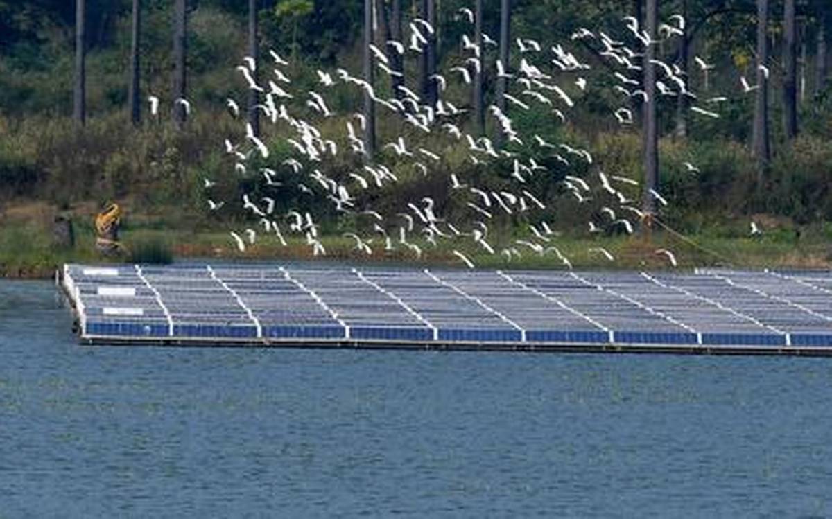 El gigante hidroeléctrico de la India firma un acuerdo por 500MW de fotovoltaica flotante en Odisha