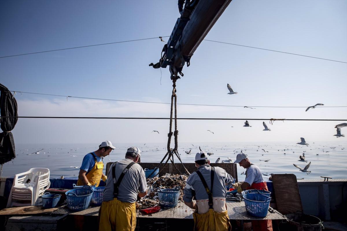 La flota pesquera valenciana permanecerá amarrada a puerto hasta el miércoles por la subida del gasoil