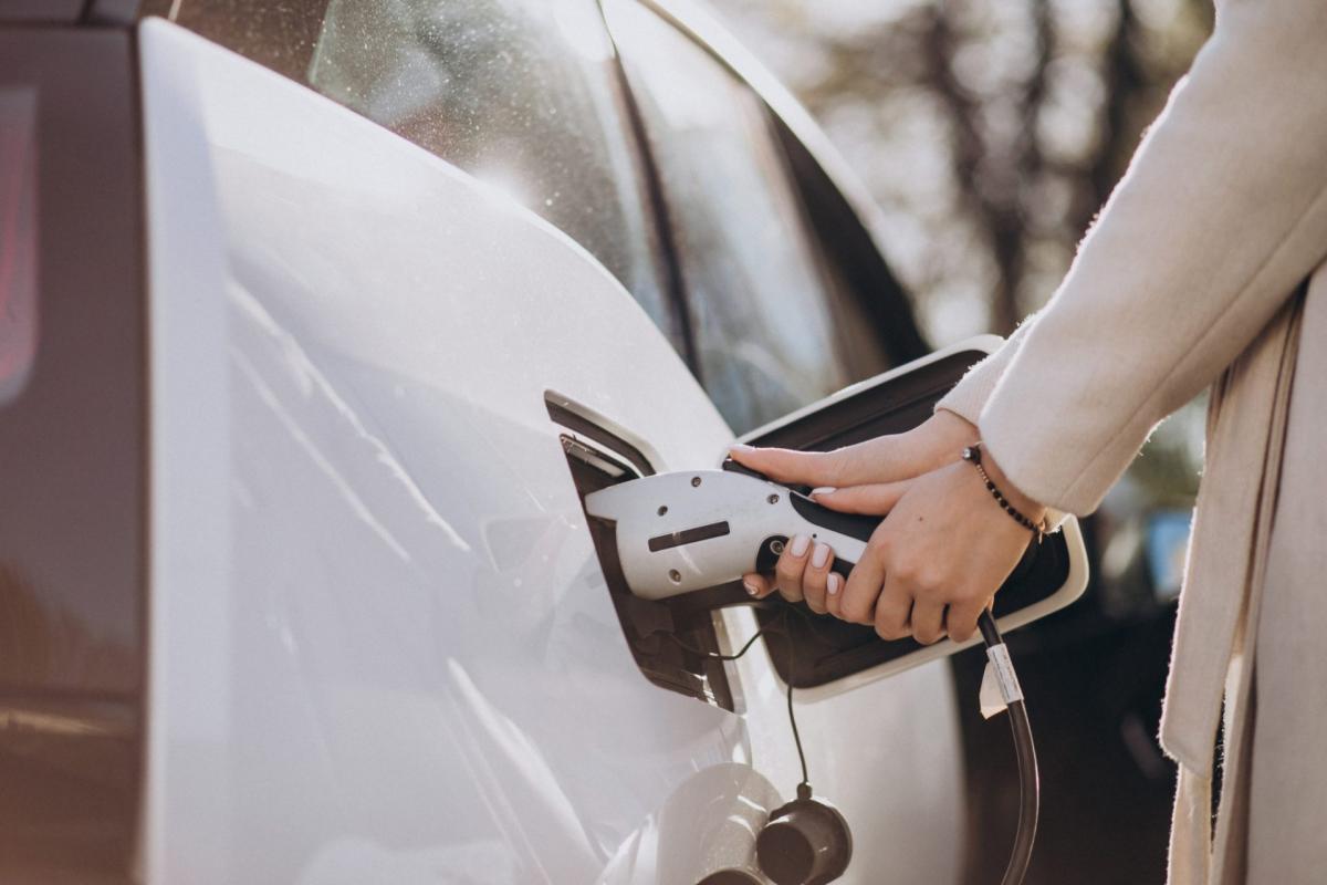 Los coches eléctricos, única categoría con números positivos en un mercado en caída