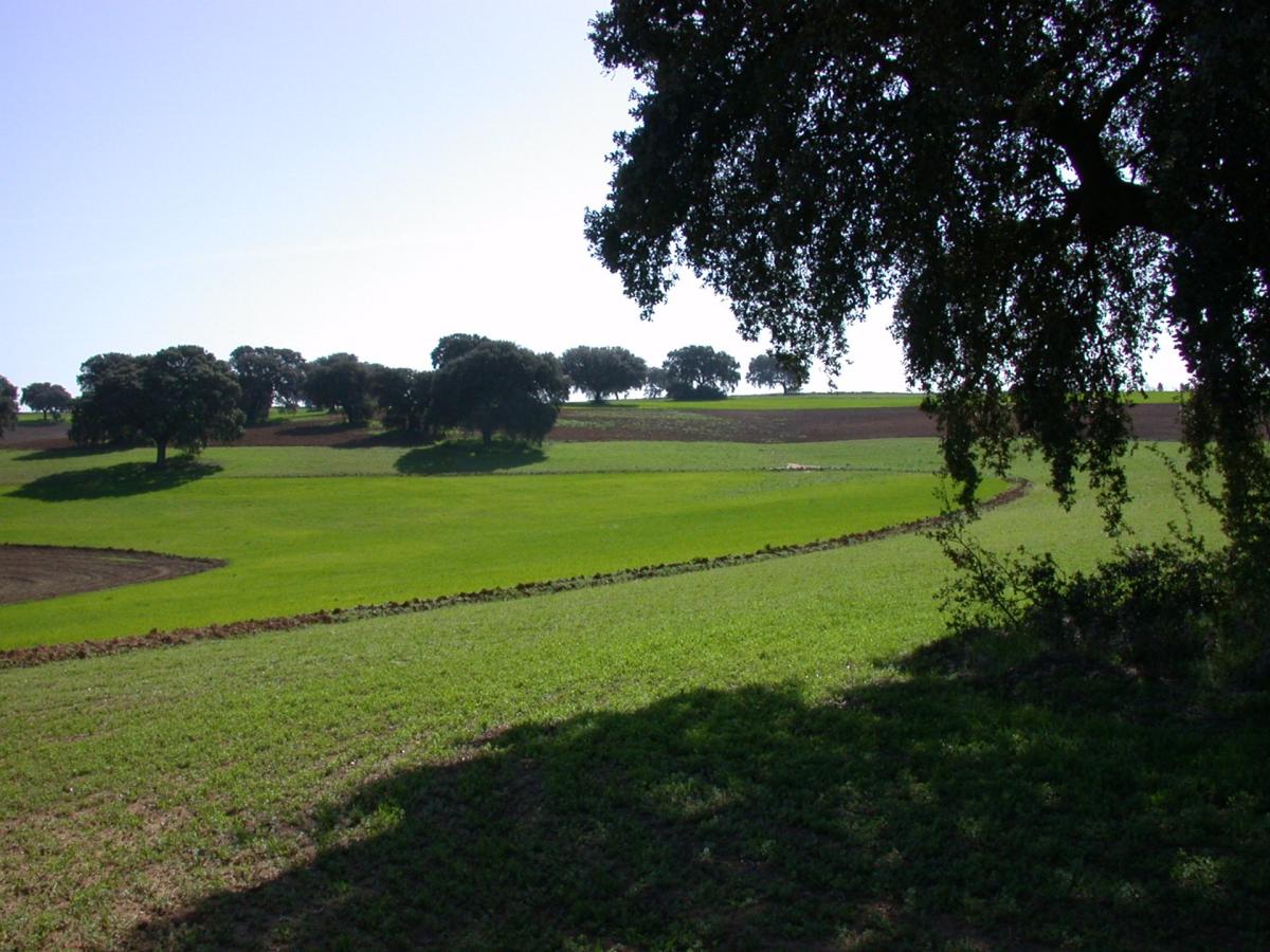 UNE impulsa la transición ecológica del sector agroalimentario