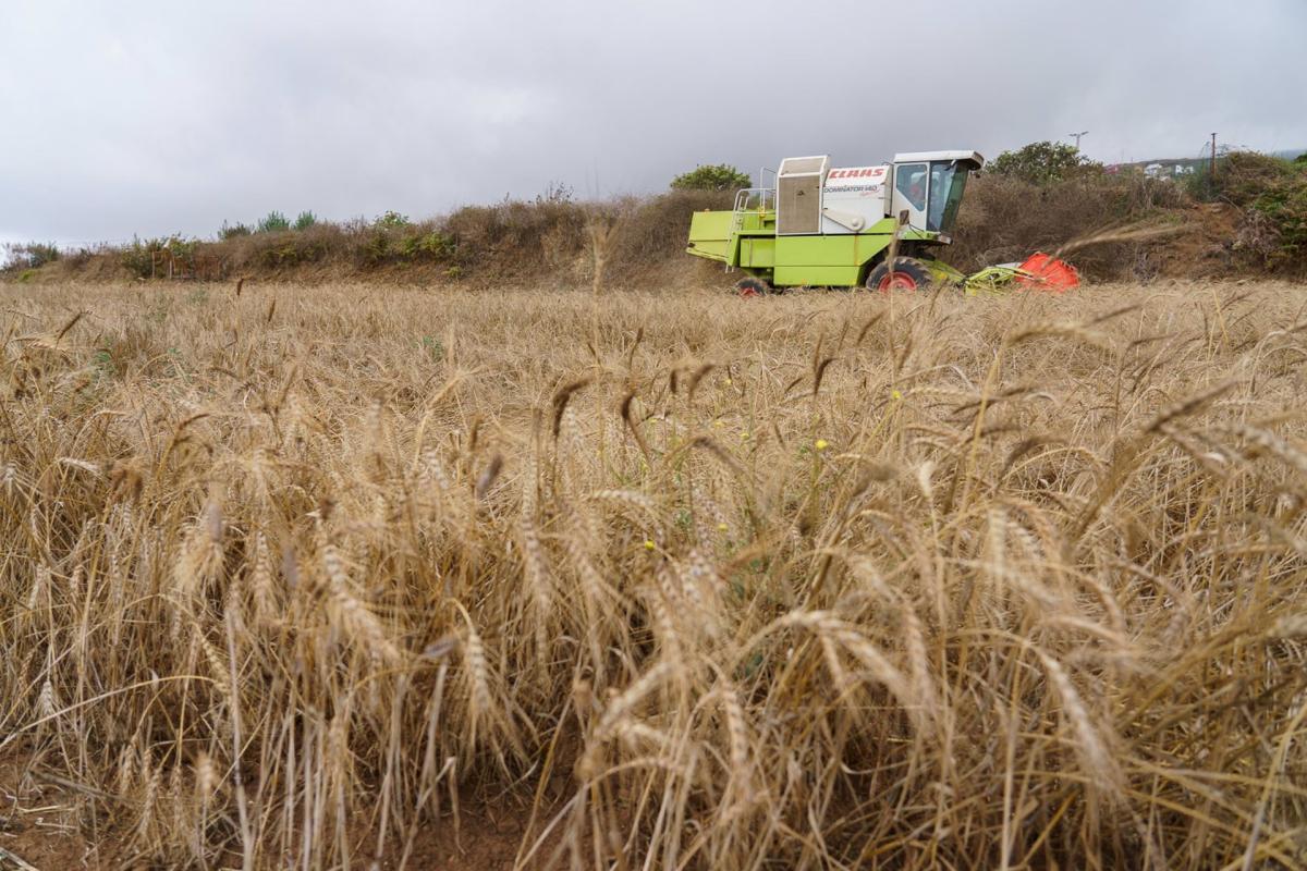 El cambio climático produce pérdidas anuales de 550 millones