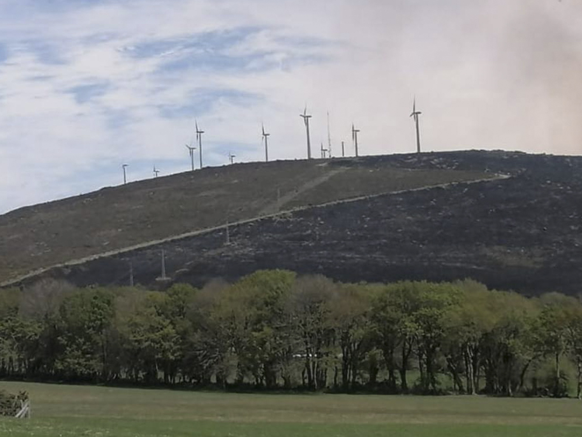 Endesa adjudica el mantenimiento de viales en sus parques eólicos  a Armacon