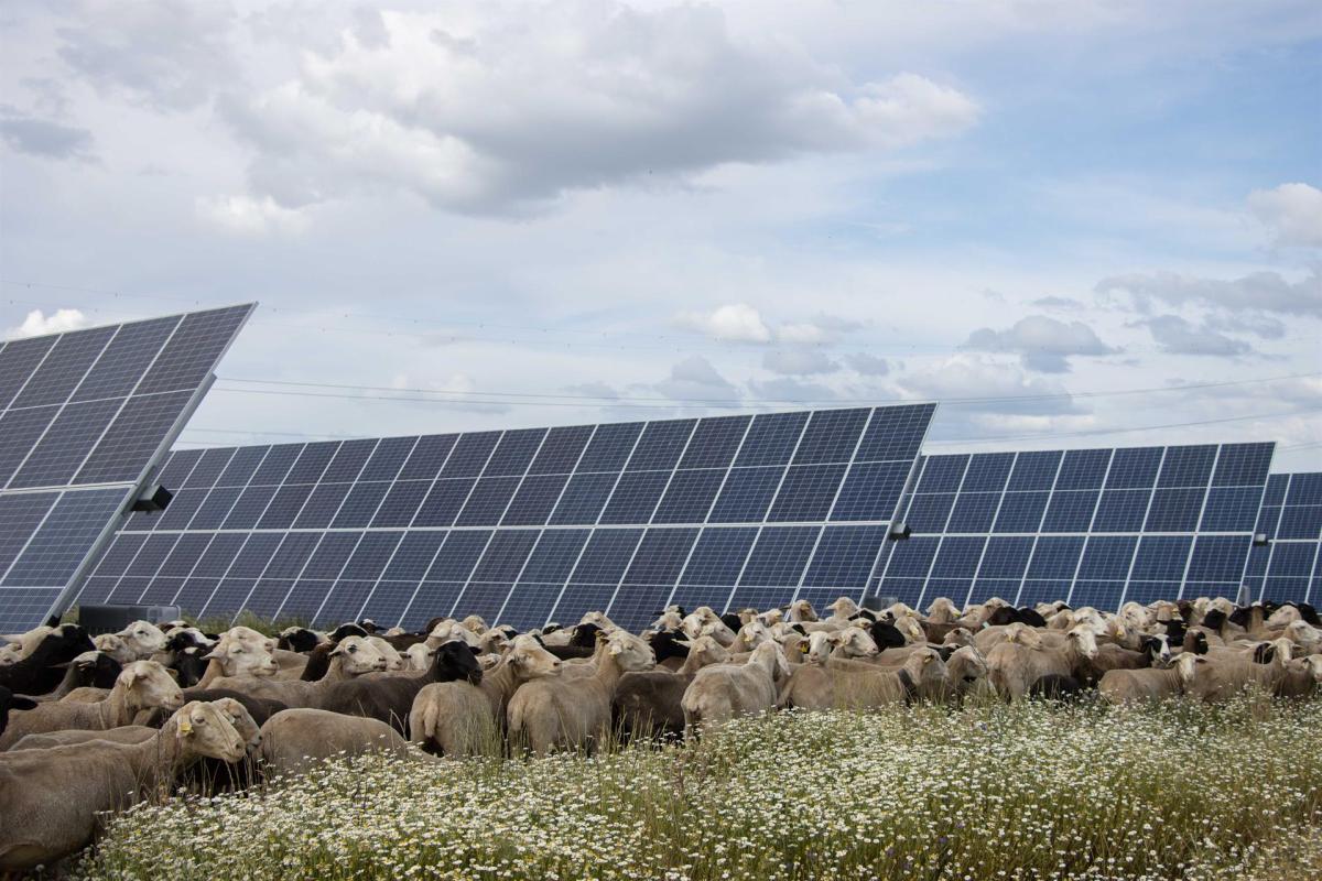 Statkraft inicia la construcción de un proyecto solar de 55 MW en Extremadura