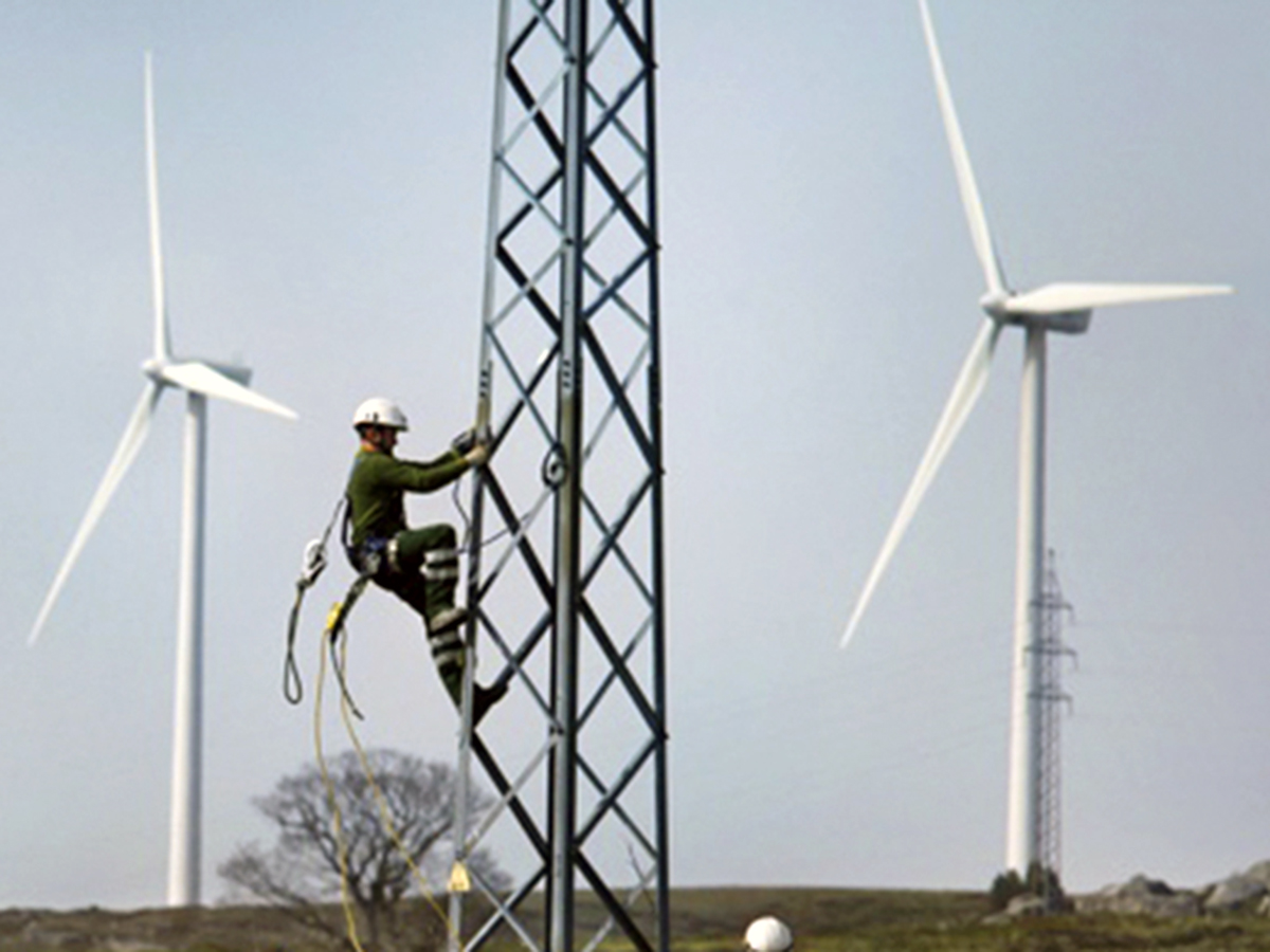 La transición energética generará entre 250.000 y 350.000 empleos hasta 2030