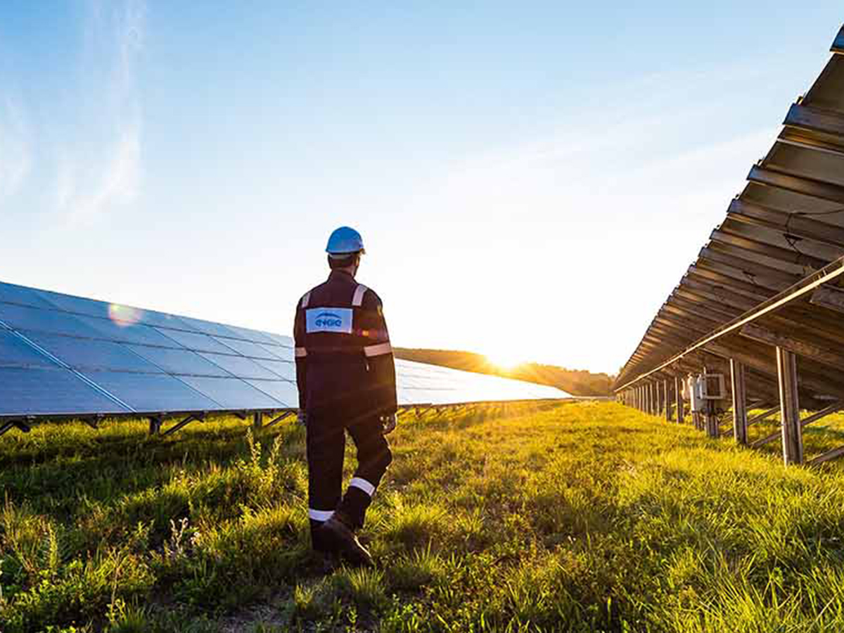 El 85% de los españoles ve compatible las energías renovables con la protección de la biodiversidad