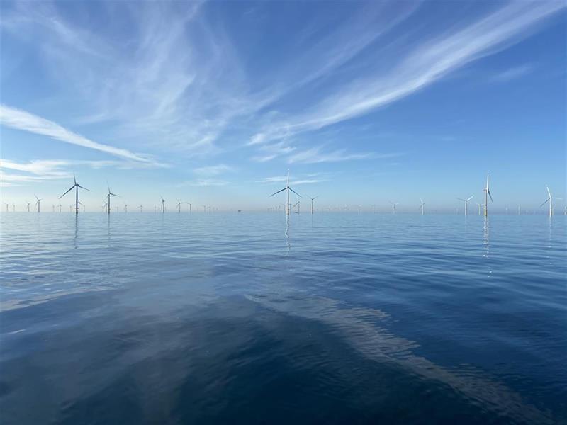 La eólica marina holandesa puede coexistir con la captura de carbono