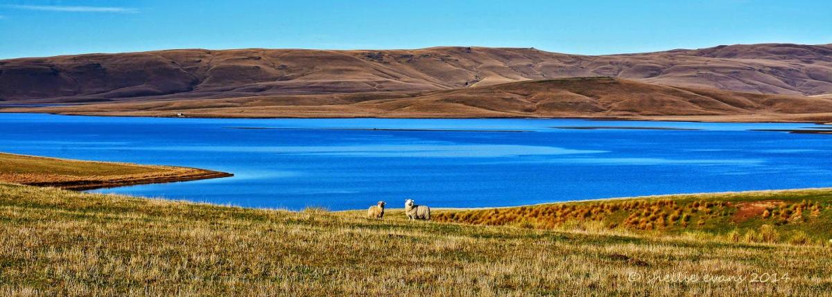 Un consorcio estudia la construcción de uno de los proyectos de almacenamiento por bombeo más grandes del mundo en Nueva Zelanda