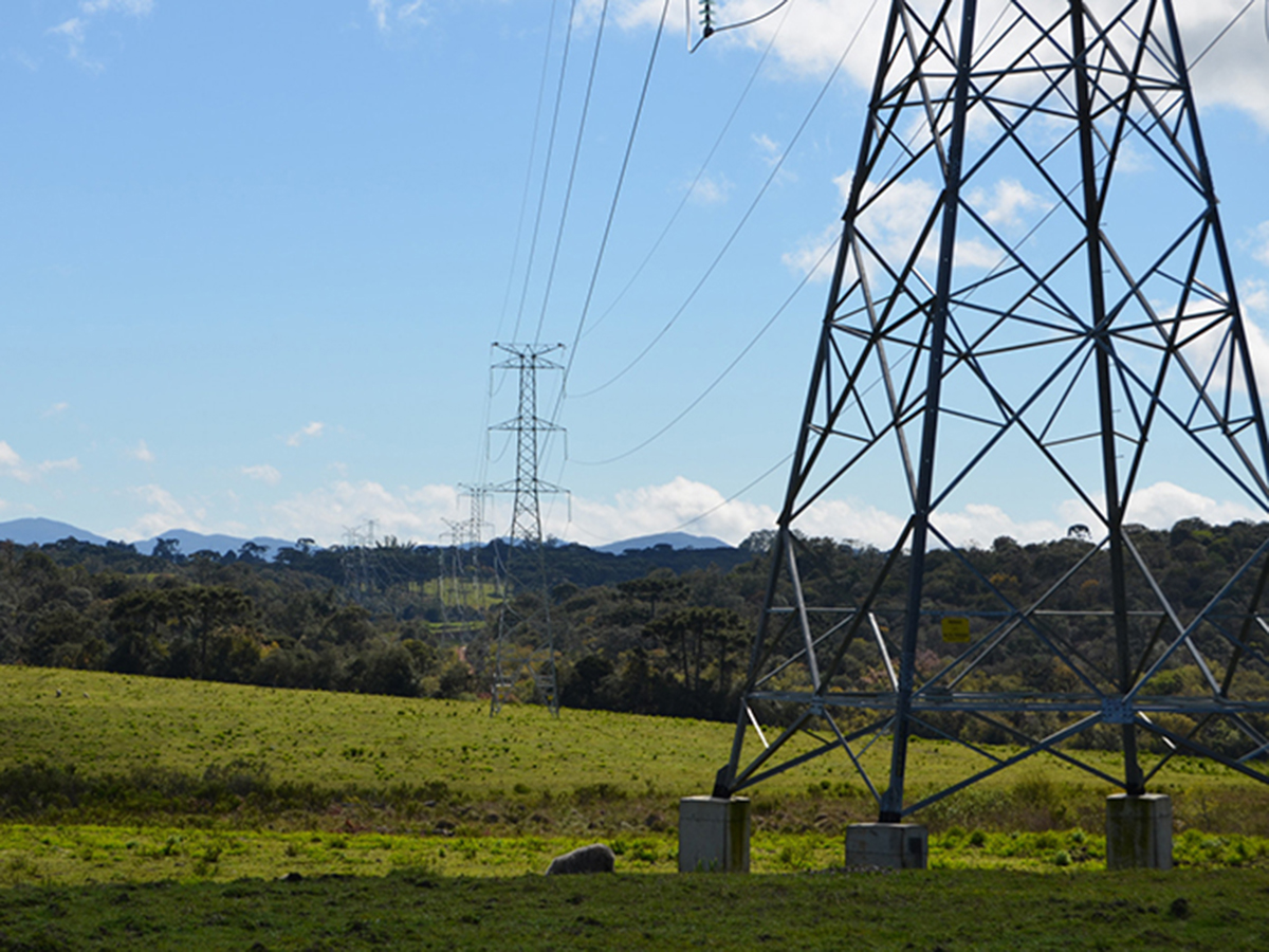 Elecnor se adjudica un contrato para rehabilitar una red eléctrica en Zambia por 23 millones