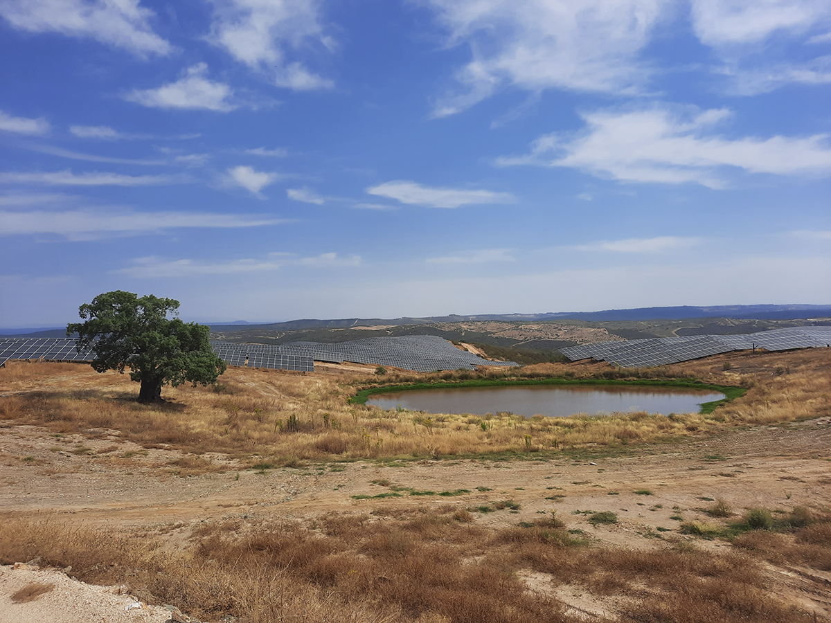 Iberdrola inicia la puesta en marcha de 100 nuevos MW solares en Extremadura