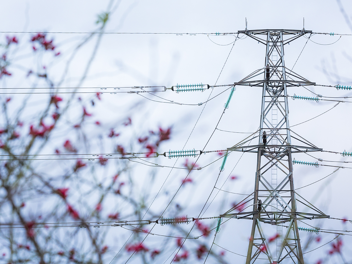 La CNMC iniciará este año la revisión de la metodología para retribuir las actividades eléctricas