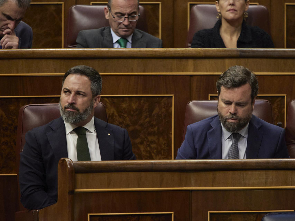 Abascal anuncia que Vox llevará al TC el decreto ley con las medidas de ahorro energético