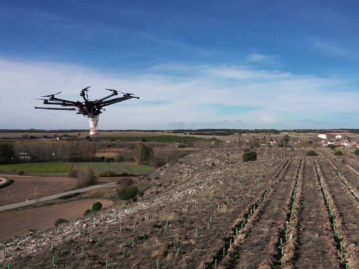 Iberdrola reforesta con 25.800 árboles autóctonos la base de Conde de Gazola de León