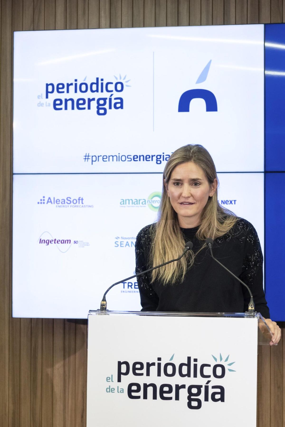 La entrega de los Premios de El Periódico de la Energía, en imágenes